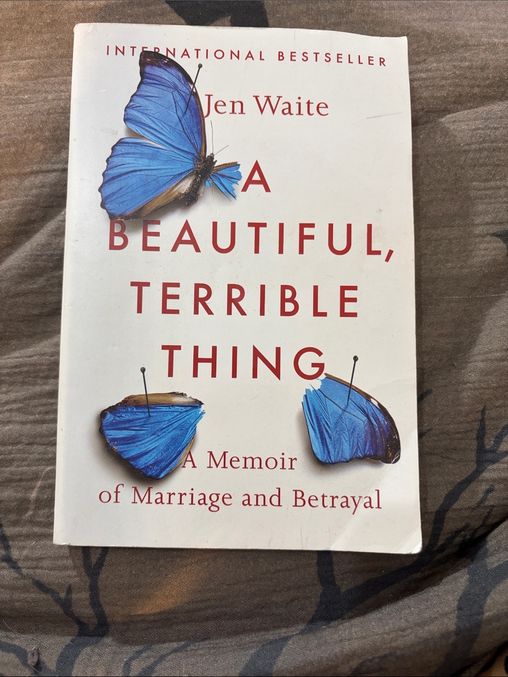 A Beautiful, Terrible Thing - Blue Cover